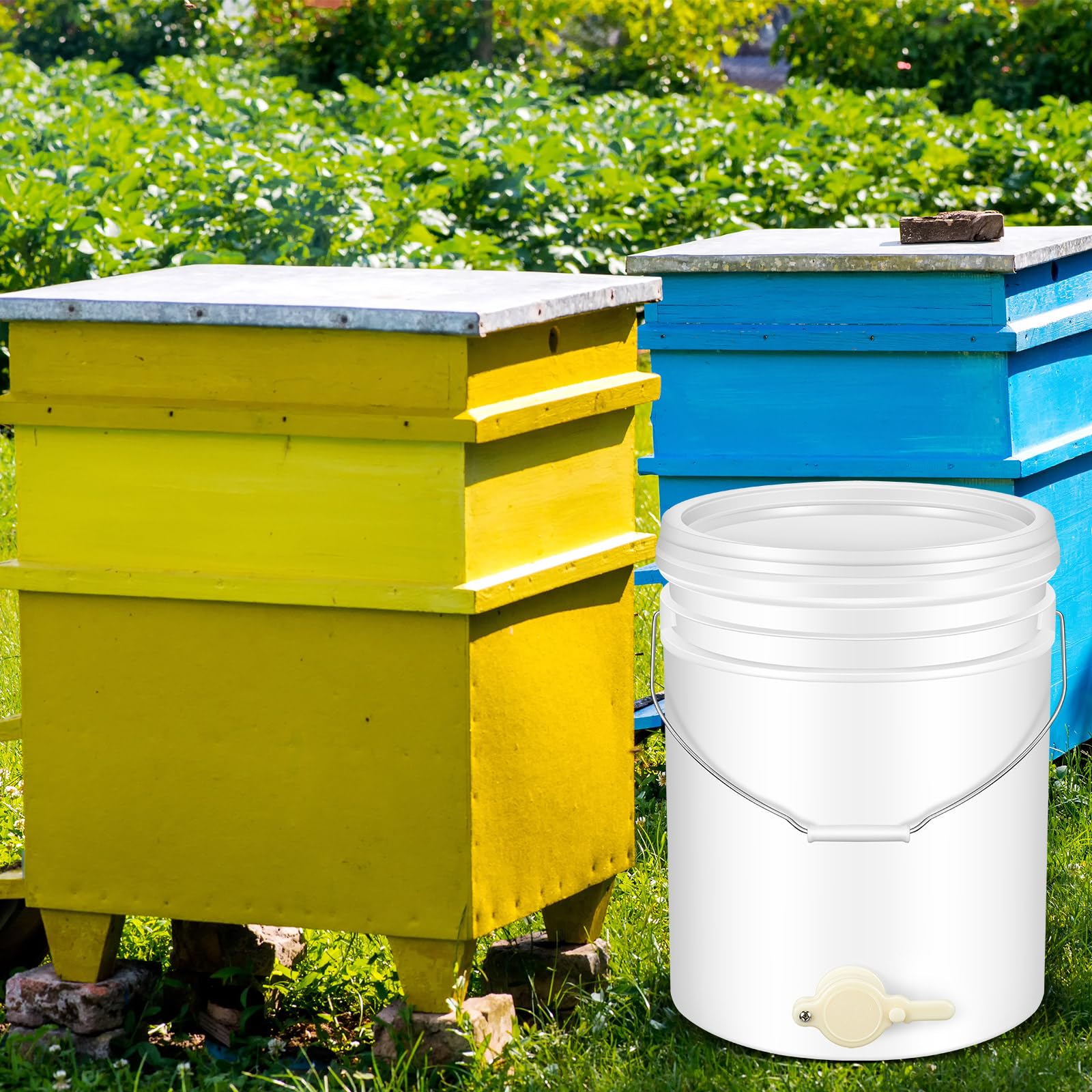 Amazon.co.jp: Suzile プラスチックハニーバケット ゲート付き 5